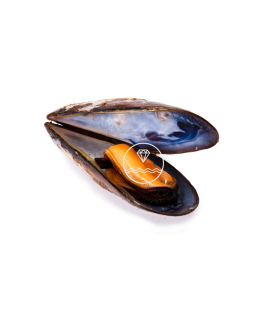 comprar mejillones