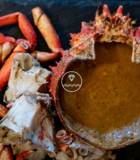 Centollo del Atlántico