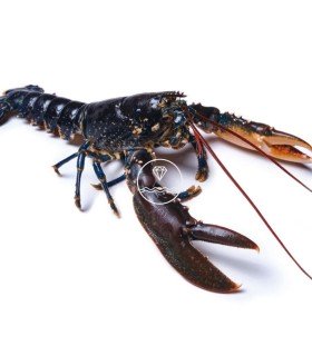 Mariscada Brisa del Mar