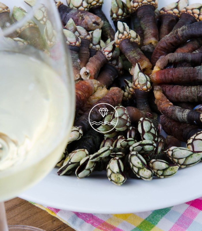 Comprar mariscada  | Mariscada para cuatro | Mariscadas a domicilio | Envío 24 horas