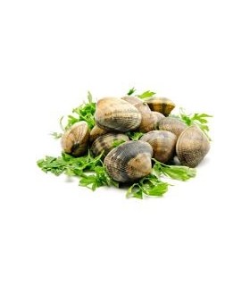 Almejas