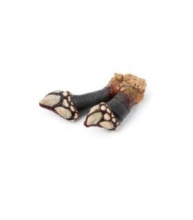 Percebes