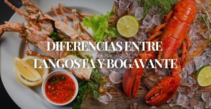 Langosta vs. Bogavante: diferencias que debes conocer antes de comprarlos